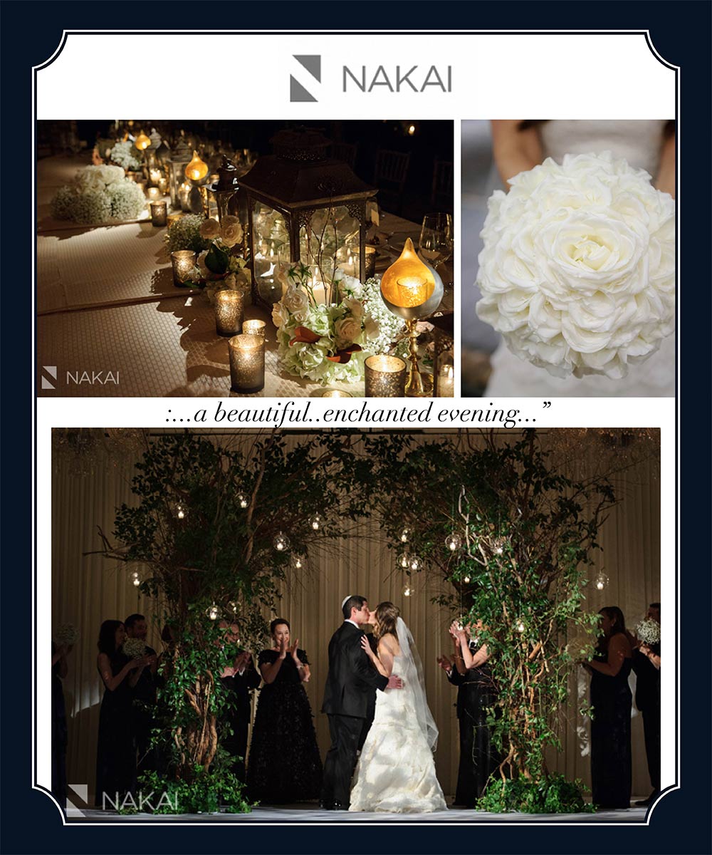 HMR Designs on Nakai Photography Blog